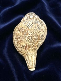 Hand-Carved Natural Right-Spiral Conch Shell Featuring the Eight Auspicious Symbols